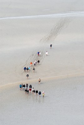 DSC_1719.JPG DSC_1719.JPG